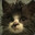 Meowton