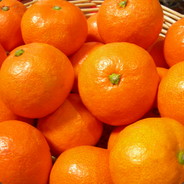 mikan_etvip