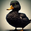 Mallard Luther King