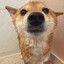 im like hey whats up bello!