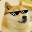 DogeDoge