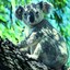 koala bancale