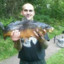 Normans FIsche