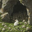 The Rabbit of Caerbannog