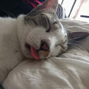 Romano Makabaligoten