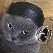 tomik - steam id 76561197963739198