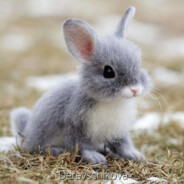 Маринаська