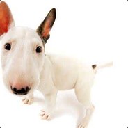 茅房房长朴茅茅