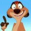 TIMON