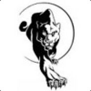 Panther - steam id 76561197960793418