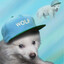 wolfie