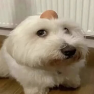 juicebox (largeprimate)