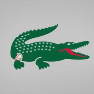 crocodile - steam id 76561198994330280