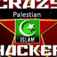 Crazy Palestinian Hacker