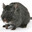 RatBin