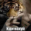 притистрит300