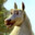 Yung_Magisterium avatar