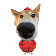 小狗能吃芝士汉堡