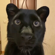 黑川大狗蛋