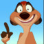 Timon
