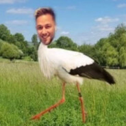 StorkeN' avatar