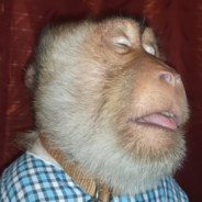 Girf