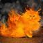 [DFS] The Cat Is On Fire!