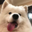 煜月YUYUE