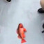 geriatric fish