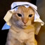 Habibi