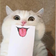 佳慧倒水 不敢冲