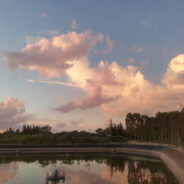 菜鸟也能玩游戏