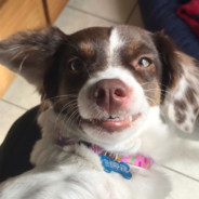 prefiro cair de moto ctz