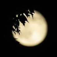 SнadōшχИīxōи