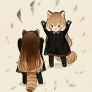 小熊猫举手投降