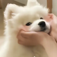 求求挂哥杀死我！