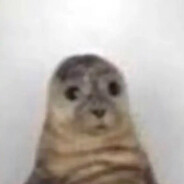 seal