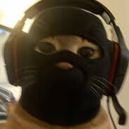 EL GATO ニャー