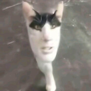 Lakatos Lopakodo avatar