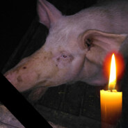 Сало від Ko1Ku1ator'a