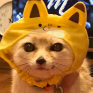 Qoki - steam id 76561197960296330