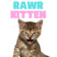 RawR KitteN