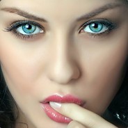 Wing Commander Wild Destroyer