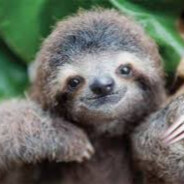 Sloth