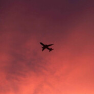 В добрые руки | Love