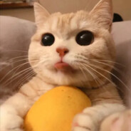 杀我就fuckyoumother