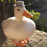 meqz