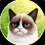 Grumpy Cat