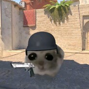 polski_kur