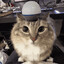 mix3rek_